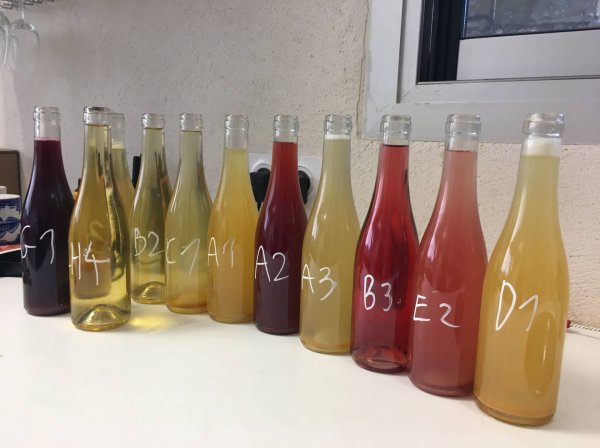 Atelier Assemblage - Création d'une cuvée