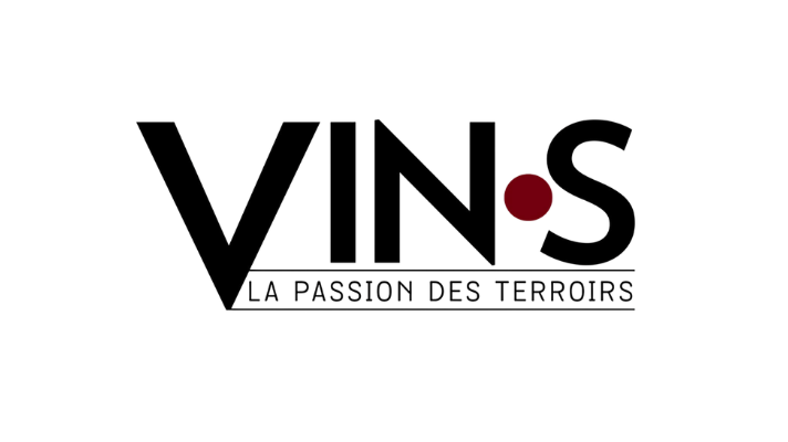 logo vin.s