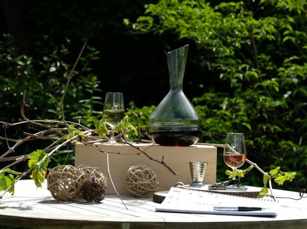 Atelier dégustation de vins & cuisine de Cheffe !