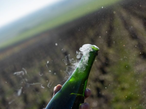 Atelier oenologique à Champagne Lamiable dans Champagne - Faites votre champagne: Expérience Dégorgement