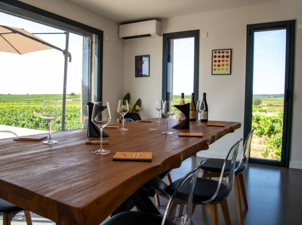 Atelier oenologique à Domaine De L'Anqueven dans Languedoc-Roussillon - Initiation à la dégustation