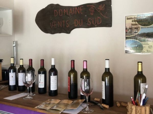 Dégustation de 7 vins avec accords mets : charcuteries, fromages et chocolats