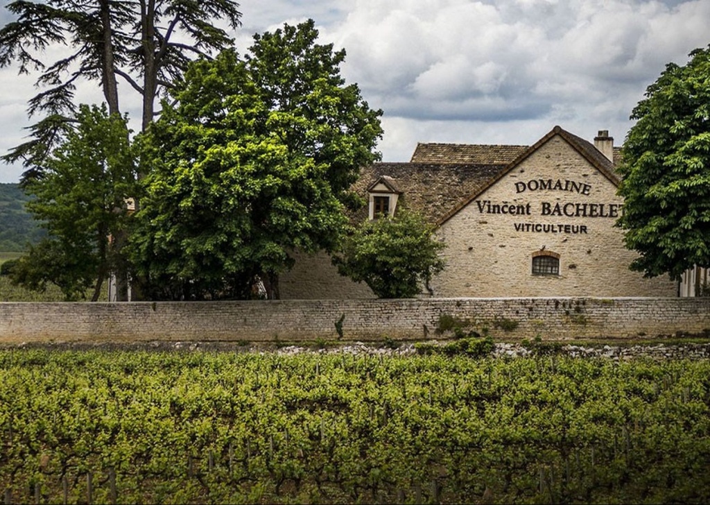 maison bachelet viticulteur
