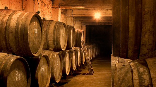 domaine des tours