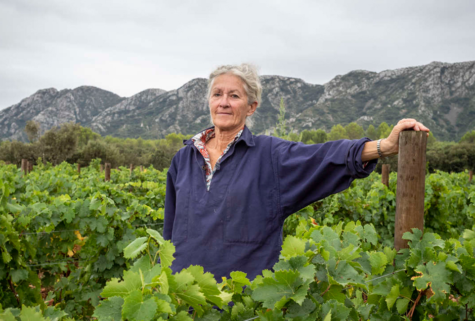 dominique hauvette dans sa vigne