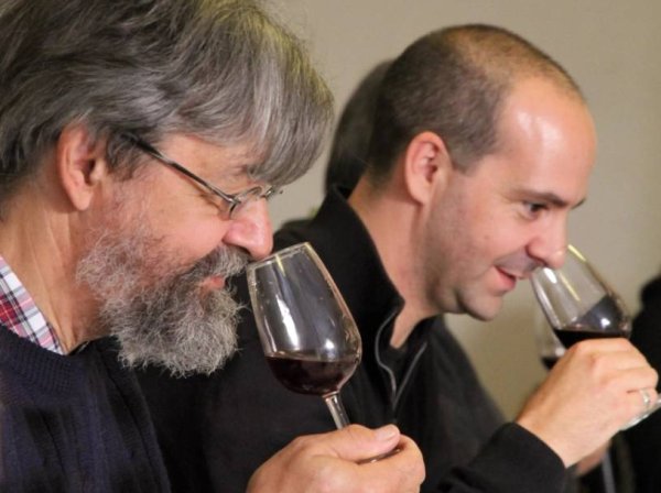 Apprendre à déguster le vin