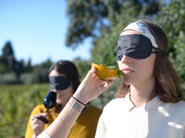 Atelier oenologique à Château Mourgues Du Grès dans Vallée du Rhone - Initiation Géosensorielle