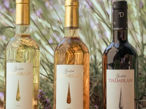 Atelier oenologique à Domaine Dalméran dans Provence - Atelier initiation à la dégustation