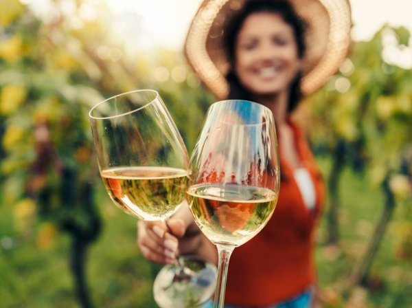 Initiation oenologique et dégustation de 9 cuvées