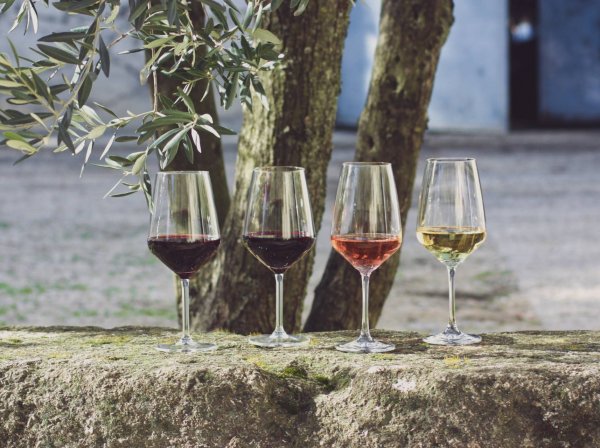 Atelier oenologique à Domaine Galévan dans Vallée du Rhone - Créez votre propre cuvée
